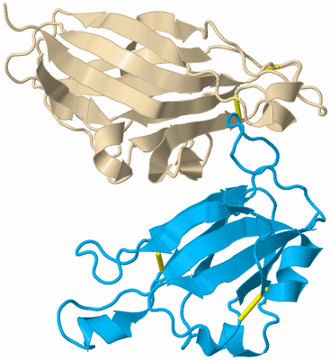 Image Biological Unit 5