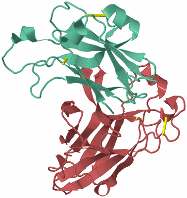 Image Biological Unit 6