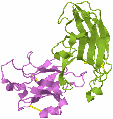 Image Biological Unit 7