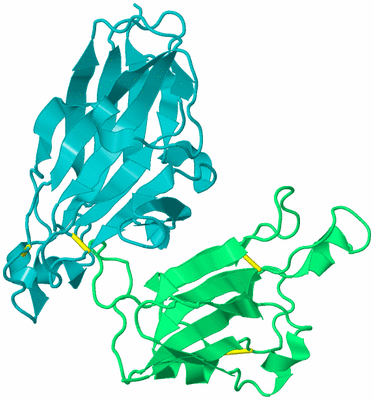 Image Biological Unit 8