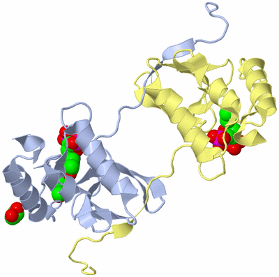 Image Biological Unit 1