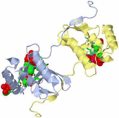 Image Biol. Unit 1 - sites