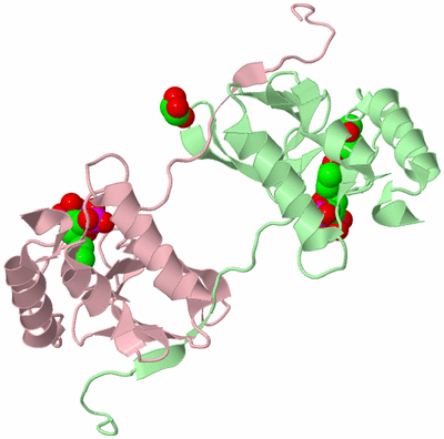 Image Biological Unit 2