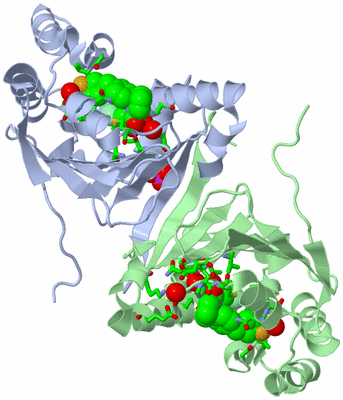 Image Asym./Biol. Unit - sites