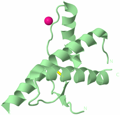 Image Biological Unit 3