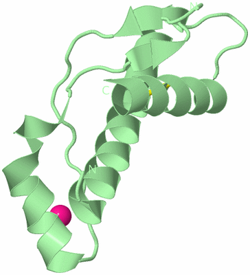 Image Biological Unit 3