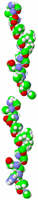 Image Asymmetric Unit