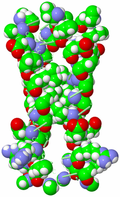 Image Biological Unit 3