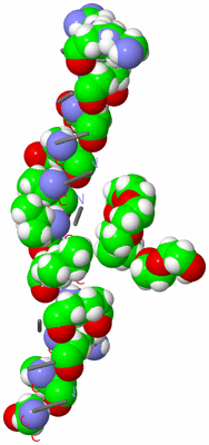 Image Asymmetric Unit