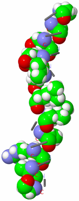 Image Asymmetric Unit