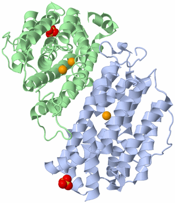 Image Asym./Biol. Unit