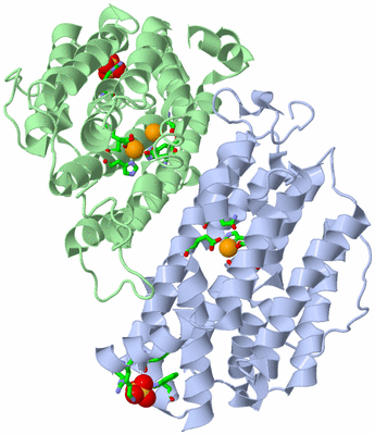 Image Asym./Biol. Unit - sites