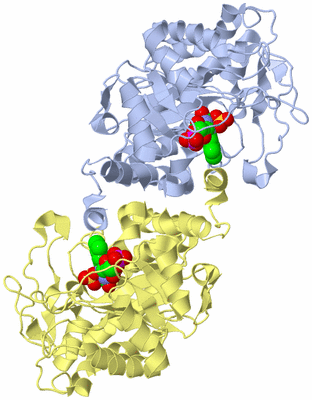 Image Biological Unit 1