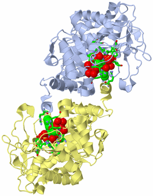 Image Biol. Unit 1 - sites