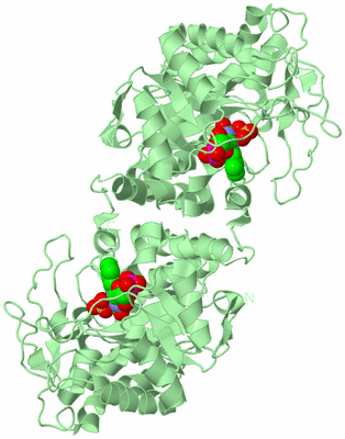 Image Biological Unit 2