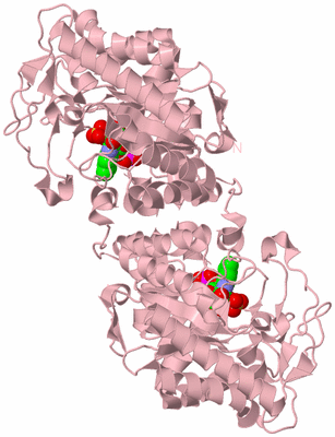 Image Biological Unit 3