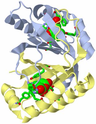 Image Biol. Unit 1 - sites