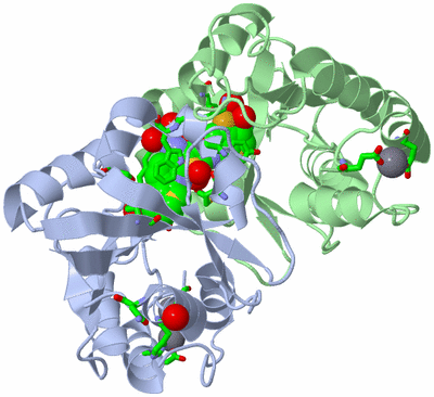 Image Asym./Biol. Unit - sites