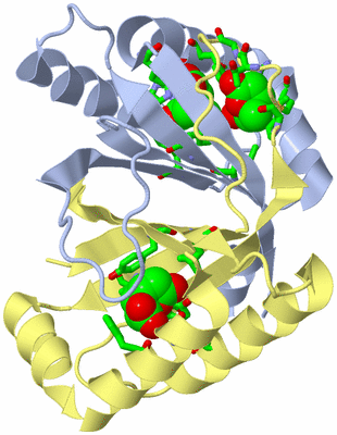 Image Biol. Unit 1 - sites