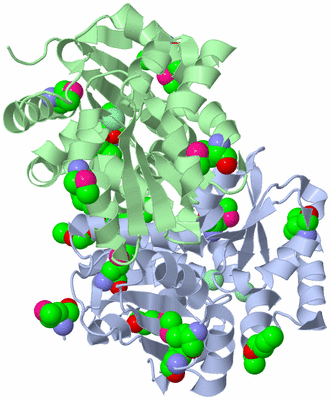 Image Asym./Biol. Unit