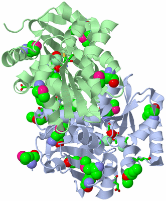 Image Asym./Biol. Unit - sites