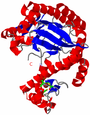 Image Asym. Unit - sites