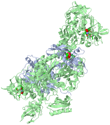 Image Biol. Unit 1 - sites