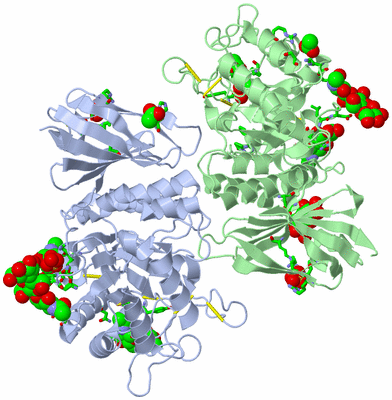 Image Asym./Biol. Unit - sites