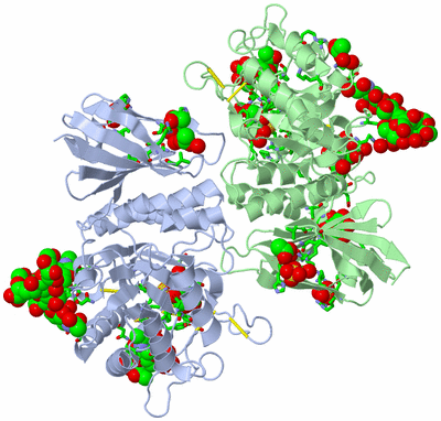 Image Asym./Biol. Unit - sites