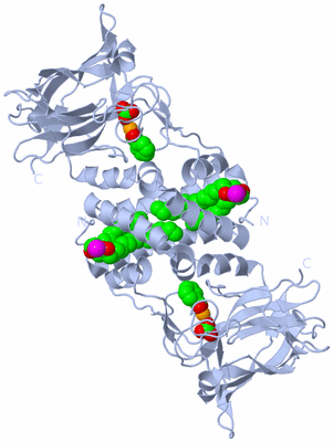 Image Biological Unit 1