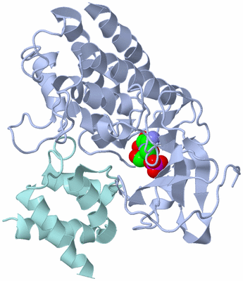 Image Biological Unit 1