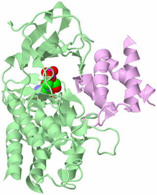 Image Biological Unit 2