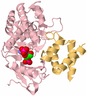 Image Biological Unit 3