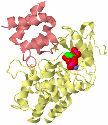 Image Biological Unit 4