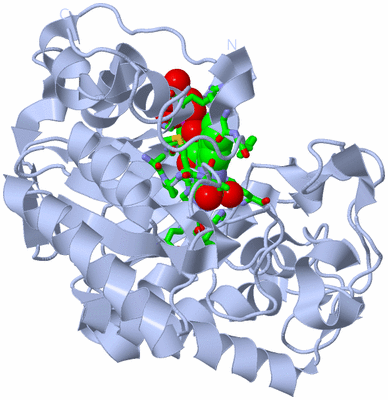 Image Biol. Unit 1 - sites