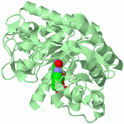 Image Biological Unit 2