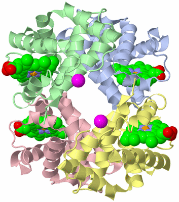 Image Asym./Biol. Unit