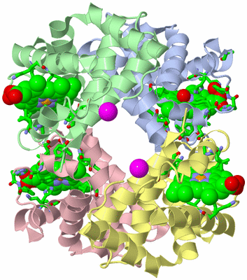 Image Asym./Biol. Unit - sites