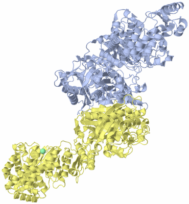 Image Biological Unit 1