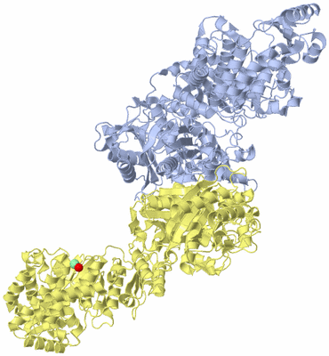 Image Biol. Unit 1 - sites