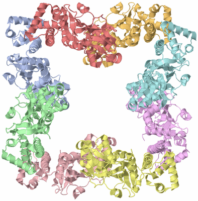 Image Asym./Biol. Unit