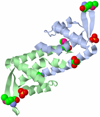 Image Asym./Biol. Unit