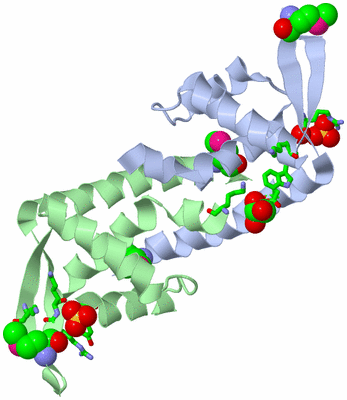 Image Asym./Biol. Unit - sites