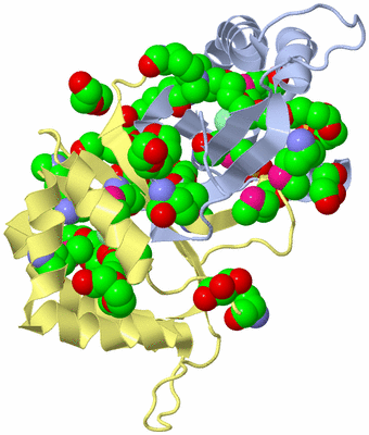 Image Biological Unit 1