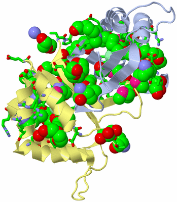 Image Biol. Unit 1 - sites