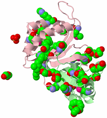 Image Biological Unit 2