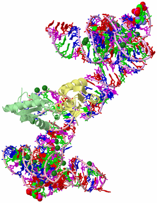 Image Asym./Biol. Unit