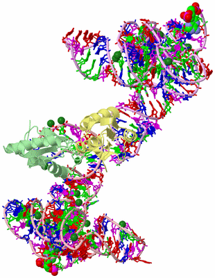 Image Asym./Biol. Unit - sites