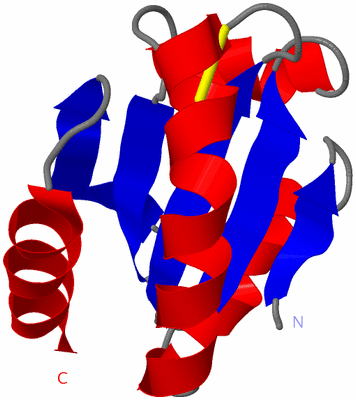 Image Asymmetric Unit