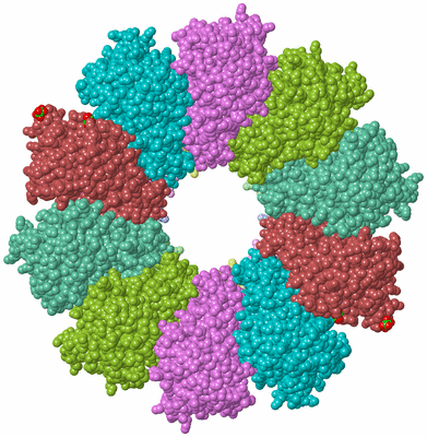 Image Biological Unit 1